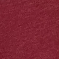 Boys 8-20 Long Sleeve Puppy Christmas Graphic T-Shirt