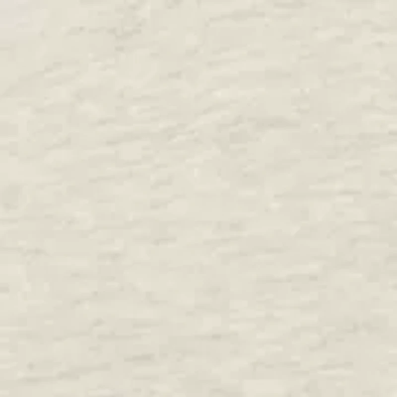 Boys 4-7 Raccoon Fleece Hoodie and Jogger Set