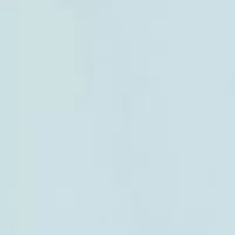 Boys 8-20 Stay Wild Graphic T-Shirt