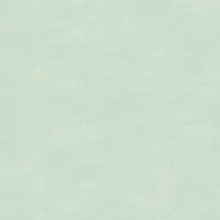 Boys 8-20 Lucky Clover Graphic T-Shirt