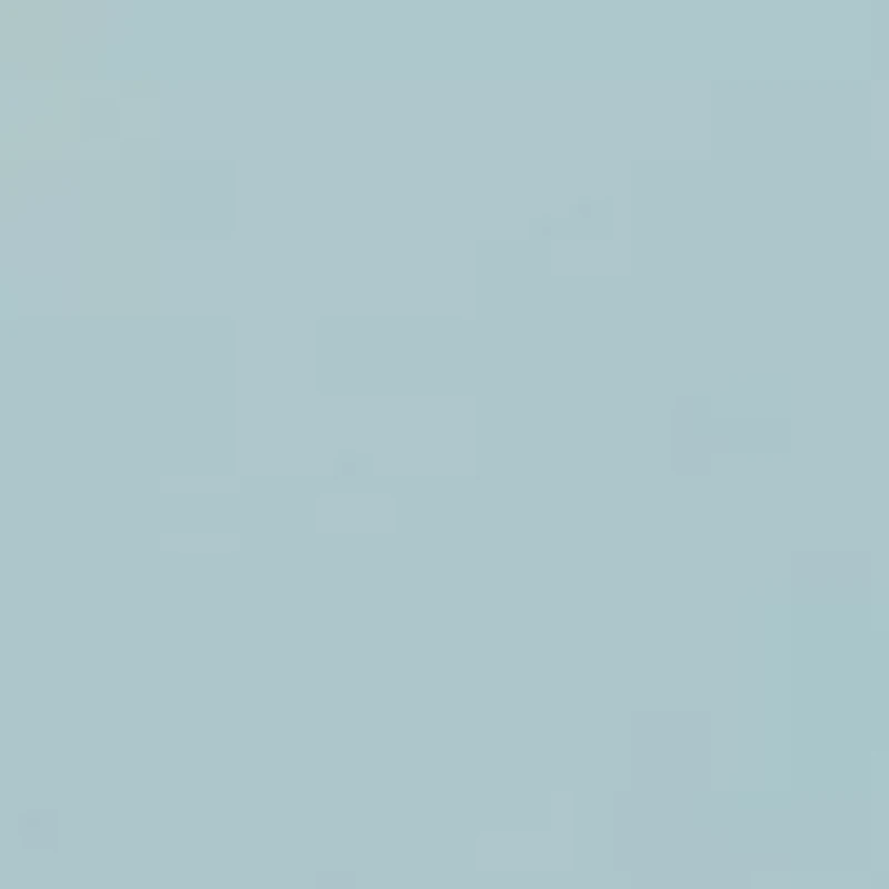 Boys 4-7 Graphic T-Shirt and Cargo Shorts Set