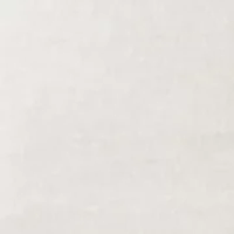 Boys 8-20 Surf Bear Short Sleeve Graphic T-Shirt