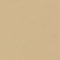 Boys 8-20 Solid Cargo Shorts