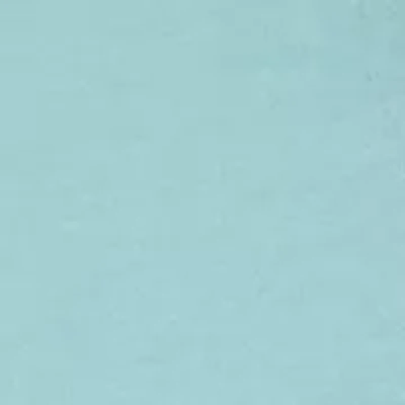 Boys 8-20 Bear Ferris Wheel T-Shirt