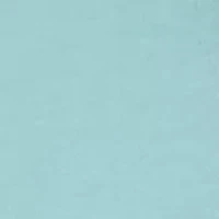 Boys 8-20 Bear Ferris Wheel T-Shirt