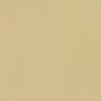 Boys 8-20 Cargo Shorts