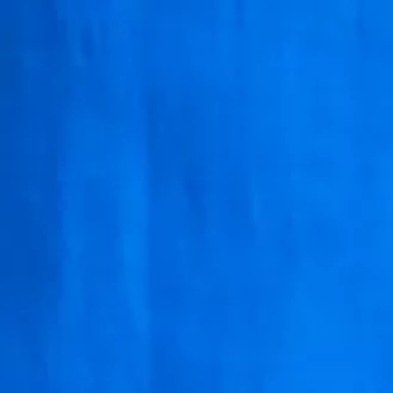 Boys 8-20 Pull On Shorts