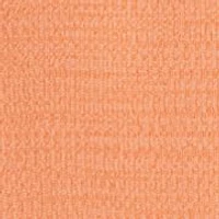 Boys 4-7 Short Sleeve Fishing Polo Shirt