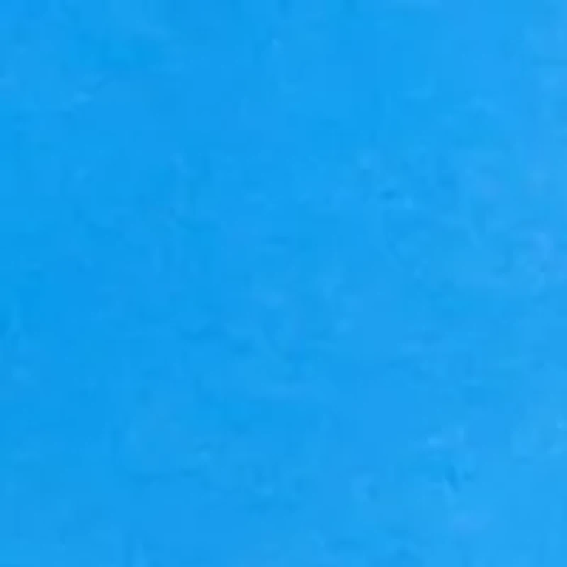 Boys 8-20 Swim Trucks with Liner