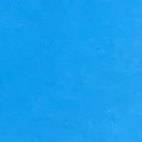 Boys 8-20 Swim Trucks with Liner