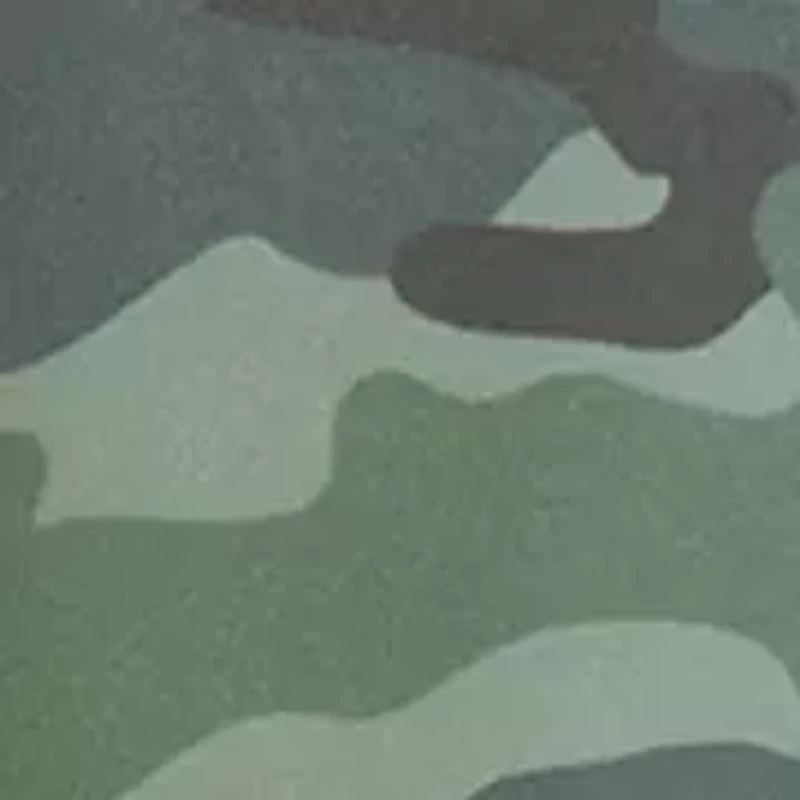 Boys 4-7 Long Sleeve Camo Print Hoodie