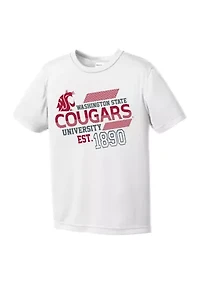 Youth NCAA Washington State Cougars Offsides Graphic T-Shirt