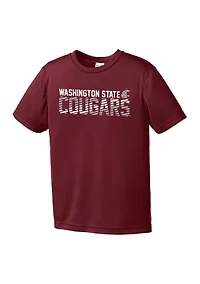 Youth NCAA Washington State Cougars Diagonal Graphic T-Shirt