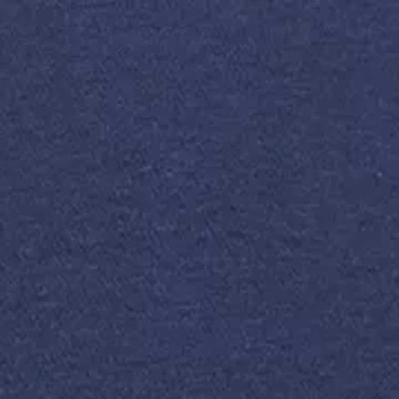 Boys 8-20 Speed Fleece Hoodie