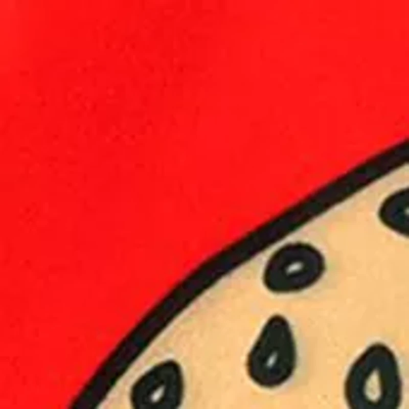 Boys 8-20 Printed Swim Trunks