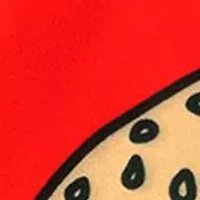 Boys 8-20  Printed Swim Trunks