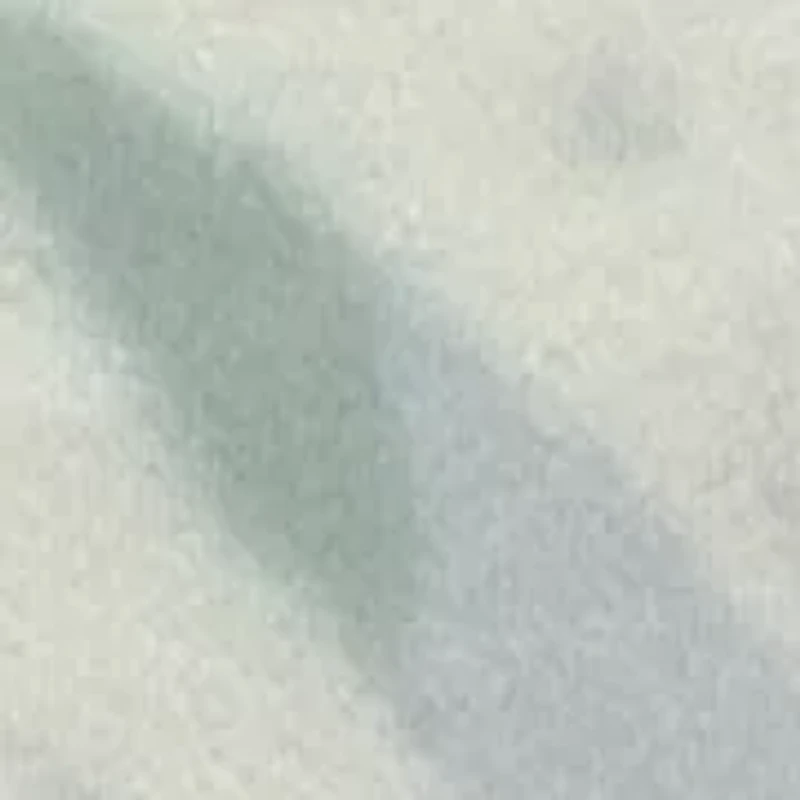 Boys 2-7 Totally Local Shorts