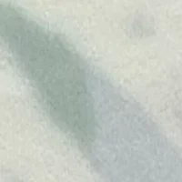 Boys 2-7 Totally Local Shorts