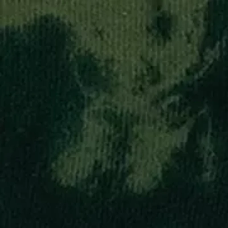 Toddler Boys Welcome to the Jungle Shorts