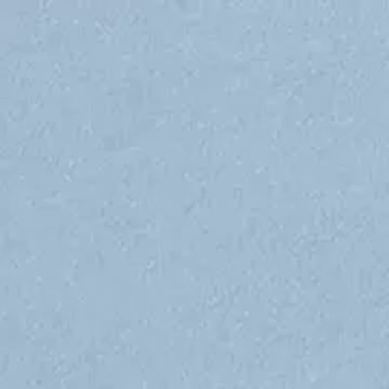 Toddler Boys Best Dude Ever T-Shirt