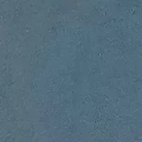 Toddler Boys Born Wild Raglan T-Shirt