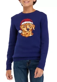 Boys 8-20 Christmas Sweater