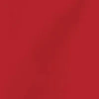 Short Sleeve Graphic T-Shirt