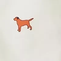 Boys 4-7 Printed Twill Shirt