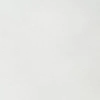 Boys 8-20 Solid Twill Deck Shorts