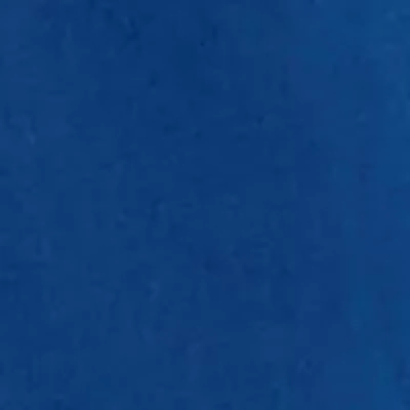 Boys 8-20 Dog Cooler Graphic T-Shirt