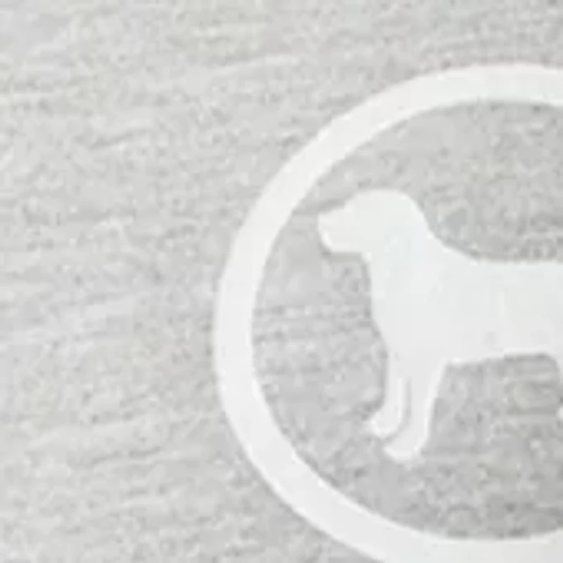 Boys 8-20 Graphic Hoodie Tee