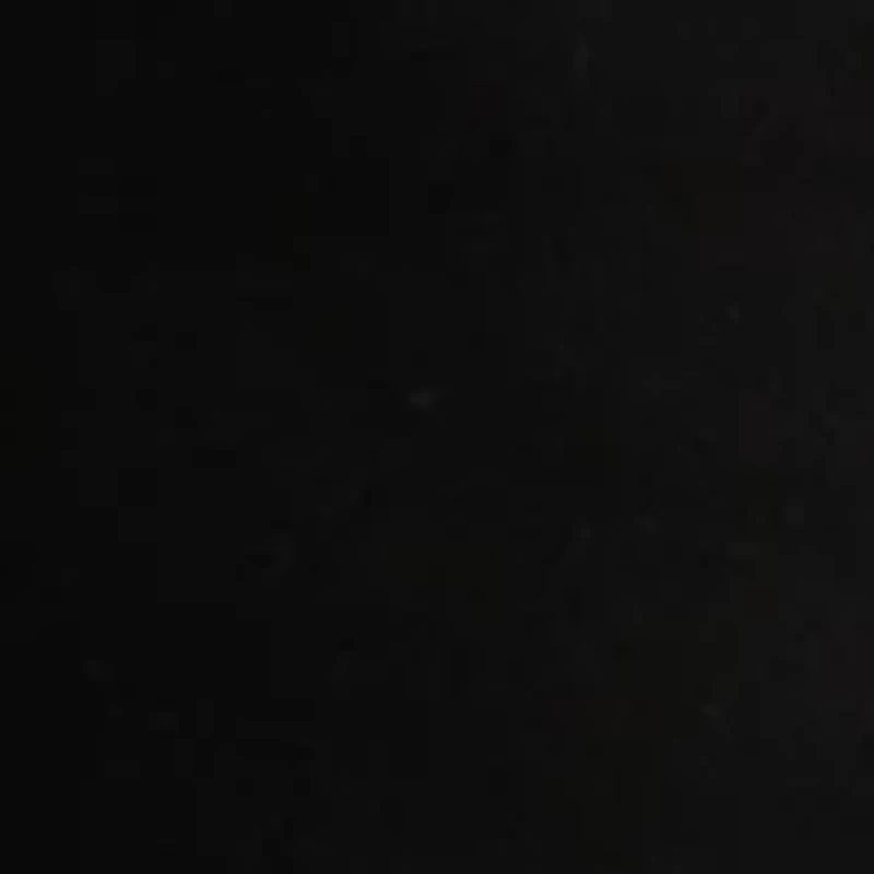 Boys 8-20 Fleece Shorts