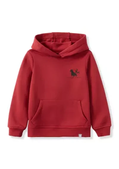 Boys 4-7 Graphic Hoodie