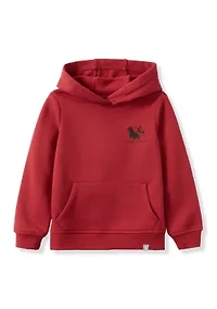 Boys 4-7 Graphic Hoodie