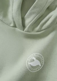 Boys 4-7 Graphic Hoodie