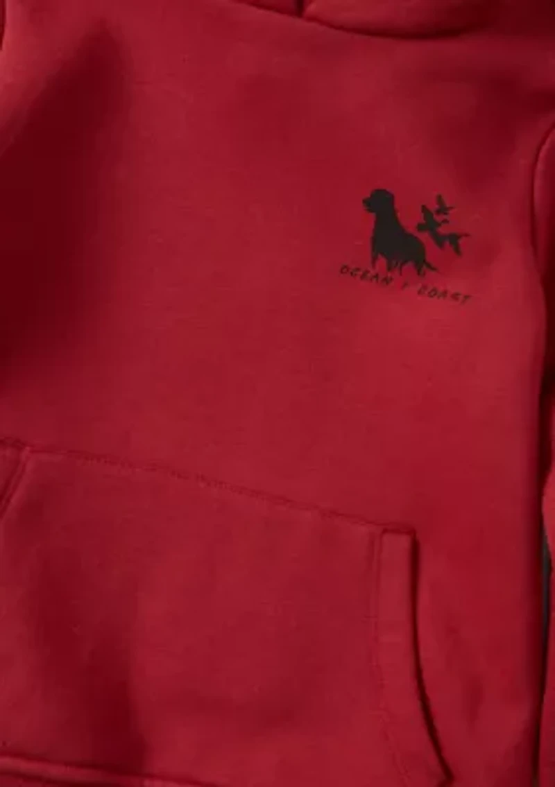 Boys 4-7 Graphic Hoodie