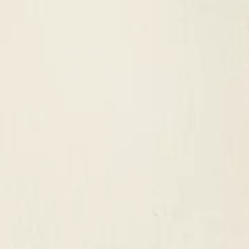 Boys 4-7 Woven Pull On Cargo Shorts