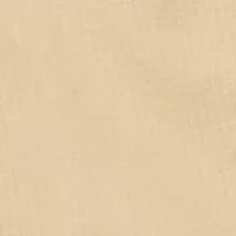 Boys 4-7 Woven Pull On Cargo Shorts