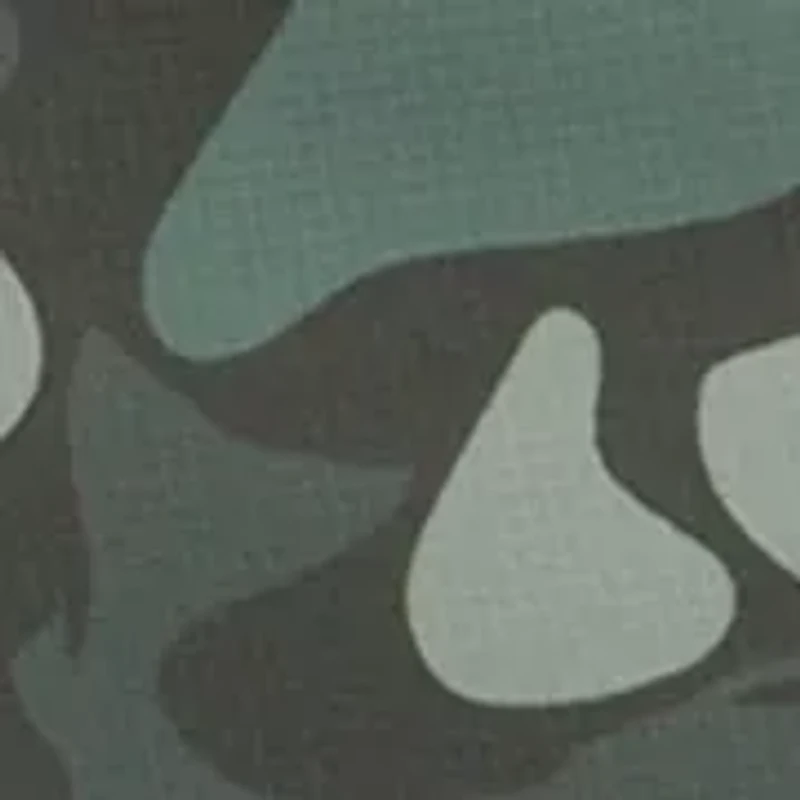 Boys 4-7 Printed Woven Pull On Cargo Shorts