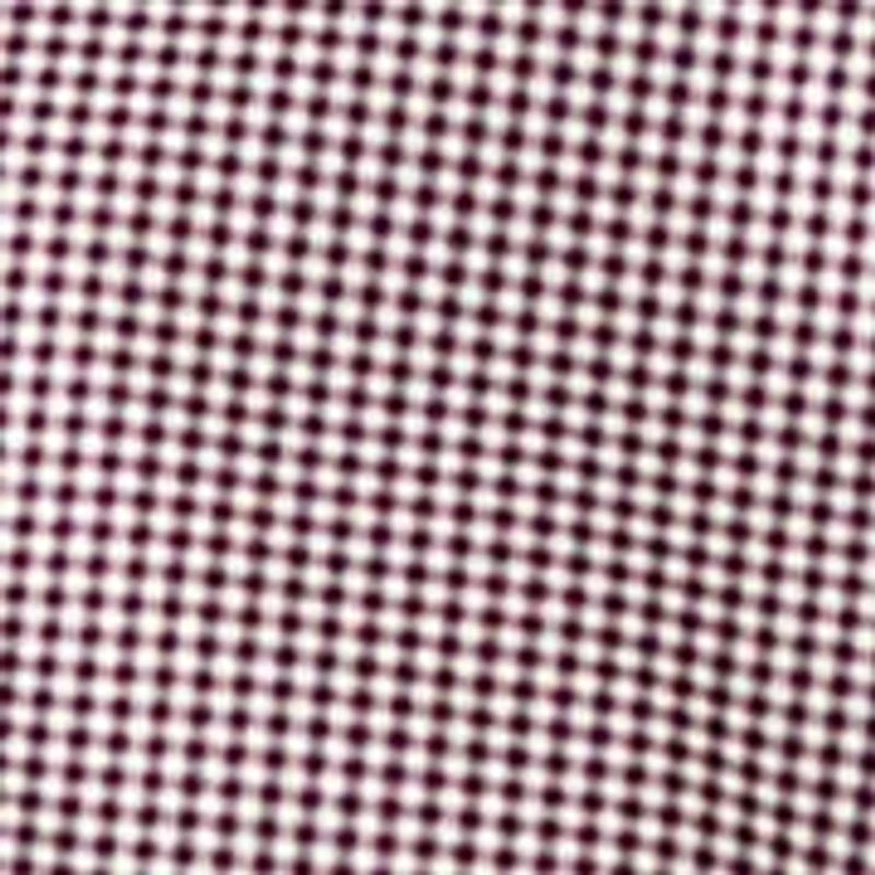 Boys 8-20 Gingham Red and White Dress Shirt