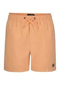 Boys 8-20 Swim Shorts