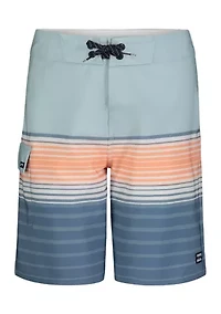 Boys 8-20 Striped Boardshorts