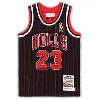 NBA Michael Jordan Chicago Bulls / Hardwood Classics Authentic Jersey