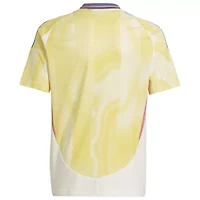 International Clubs Juventus 2024/25 Away Replica Jersey