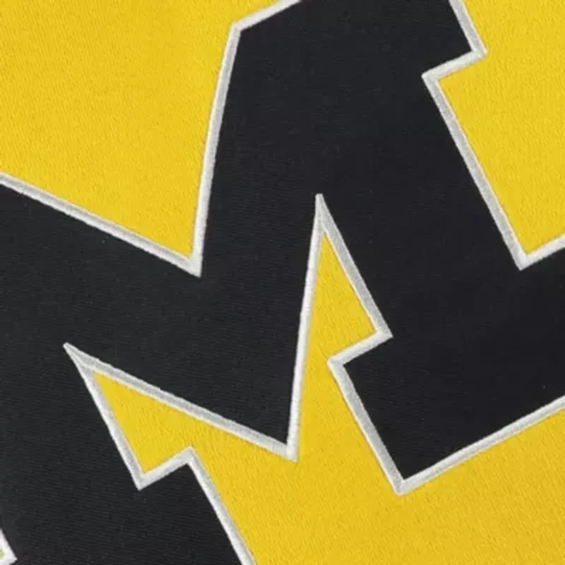 NCAA Michigan Wolverines Big Logo Pullover Hoodie