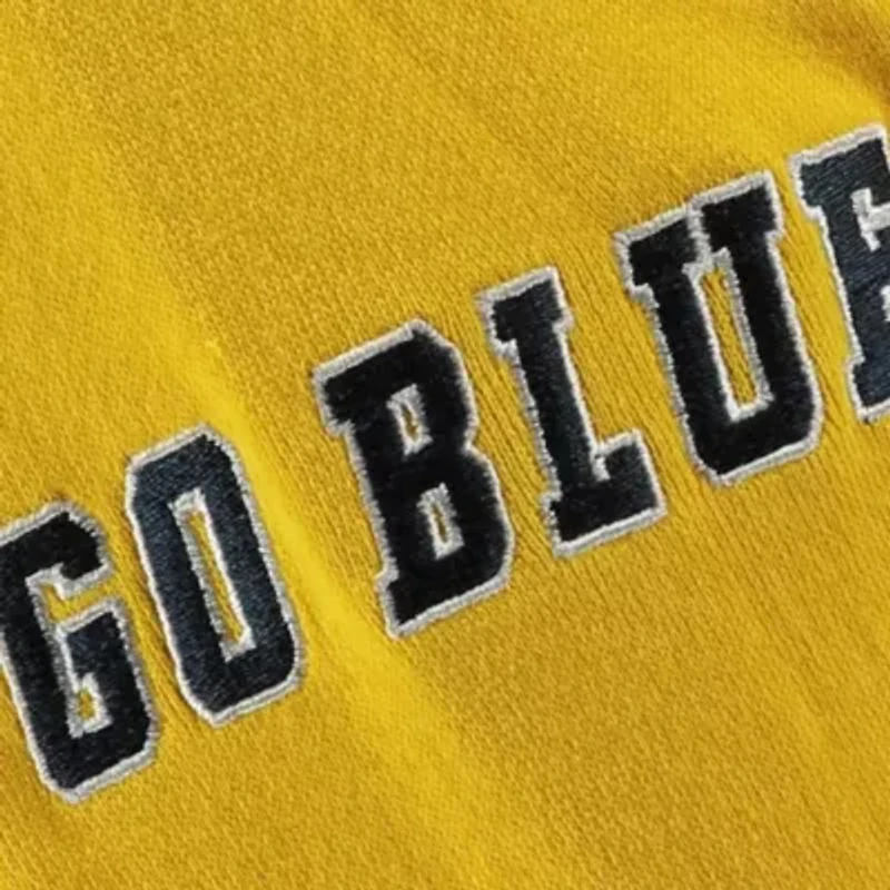 NCAA Michigan Wolverines Big Logo Pullover Hoodie