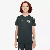 Premier League Nike Chelsea 2025/26 Strike Raglan Top