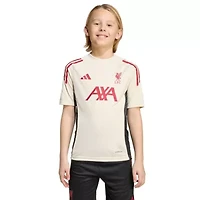 Premier League Liverpool 2025/26 AEROREADY Training Jersey