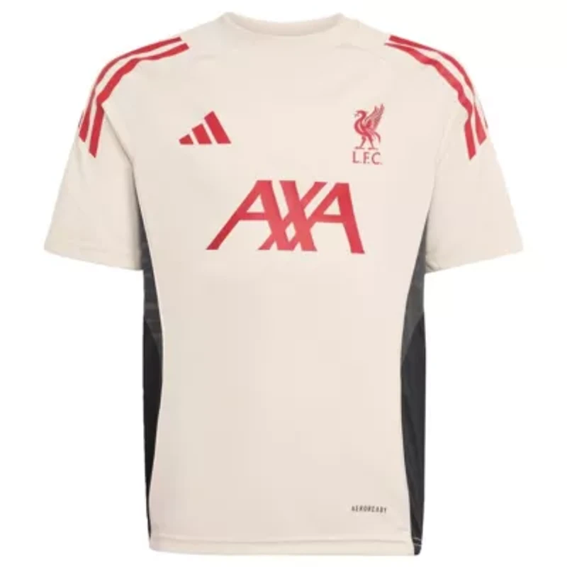 Premier League Liverpool 2025/26 AEROREADY Training Jersey