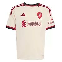 International Clubs Liverpool 2025/26 Away Replica Jersey